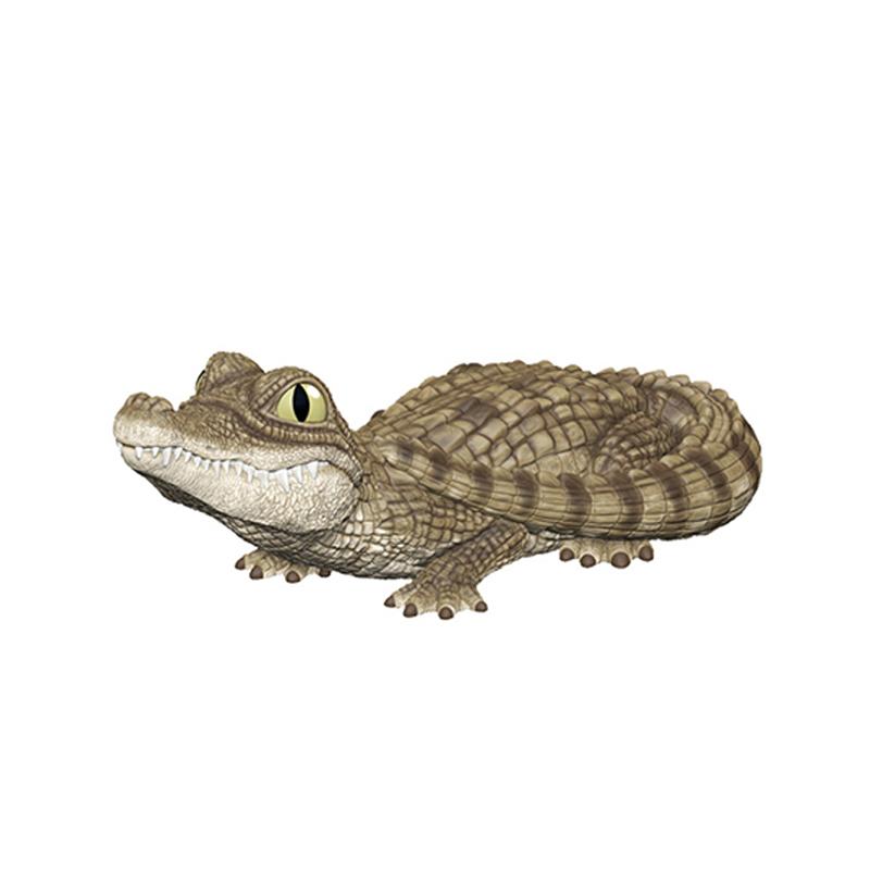 Genuine CANDY TOY Figure Small Scale Model Handheld Little Cute Friend Cynops Eublepharis Macularius Action Figure Model Toys