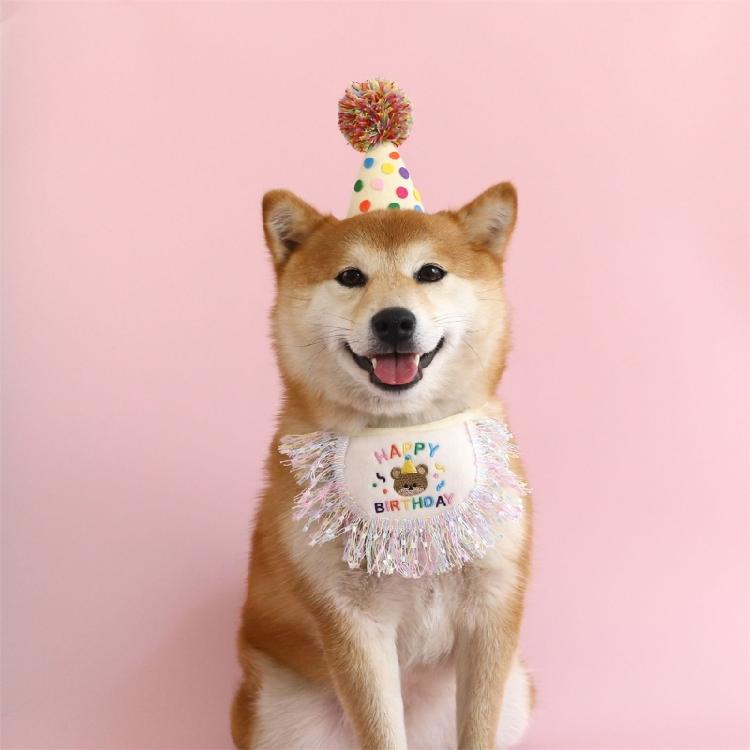 Dogs Birthday Hat with Bandanas for Outdoor Photography Keep Your Dogs Fashion