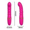 Remote-Control Vibrator for Long-Distance Couple Flirting and Female Pleasure