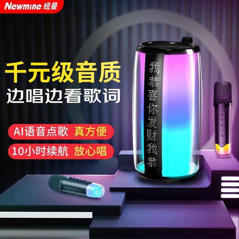 Newman K19 Portable Bluetooth KTV Speaker with Microphone