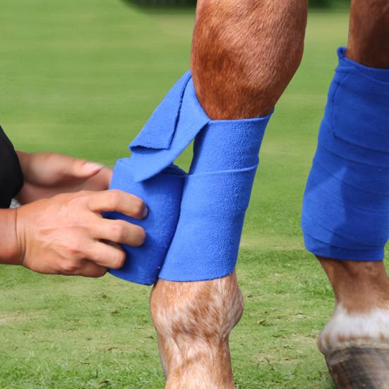 Cheap Horse Leg Wrap Super Soft Ultrathick Blue Color Fleece