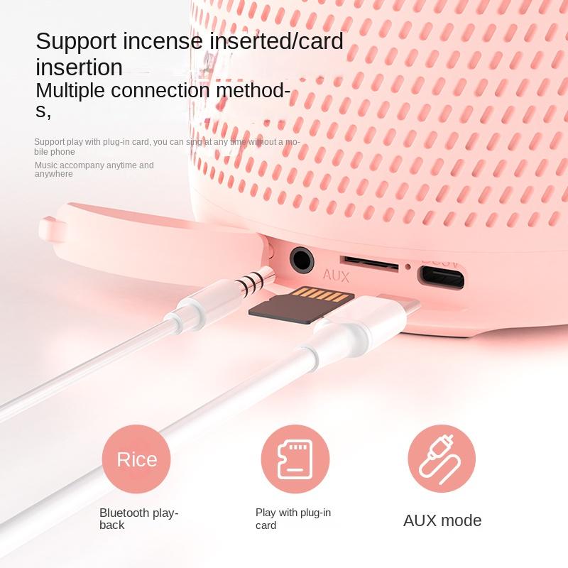 Barevná světla Domácí reproduktor Mini Karaoke Machine Dětský Přenosný Bluetooth reproduktor s bezdrátovým mikrofonem Rodinný reproduktor