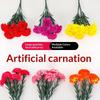 Artificial Real Touch Carnation Flower Bouquet Long Lifespan for Mother's Day Gift Corporate Event Office Home Decoration