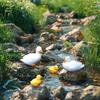 White Duck Family Resin Ornament for Bonsai Garden Aquarium Fish Tank Mini Landscape Decor Craft Home Decoration Accessories