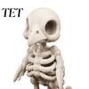 Horror Theme Display Pieces 3D Printed Gothic Vulture Skeleton Figurine,Spooky Bird Skull Statue, Mini Creative Resin Alternative Statues Micro