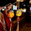 2026 Year of the Horse LED String Lights: New Year Decoration Handheld Pendant for Spring Festival Atmosphere