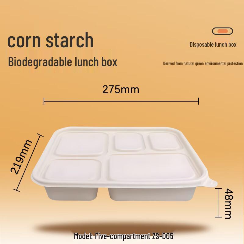 Eco-Friendly Biodegradable Divided Food Container