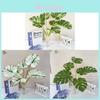 Handmade Greenery Leaf Wall Art For Indoor Decoration And Photo Backdrop In Living Space