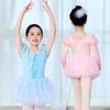 Aiwugo Girls' Long Sleeve Ballet Dance Leotard with Gauze Skirt