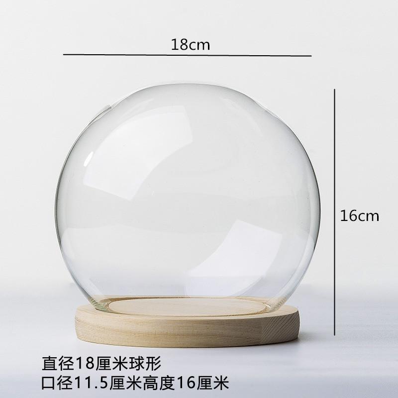 Ewige Blumen Ornamente Präsentationsschale Transparente Glasabdeckung Holzsockel Geschenk Präsentationsbox Kunsthandwerk Aufbewahrungsschale Staubschutz Kuchenform