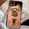 Yorkie Yorkshire Terrier Case For Oppo A40 A16 A76 A96 A60 A98 A58 A78 A18 A38 A80 A77 A57 A17 A74 A54 A94 A15 A5 Pro