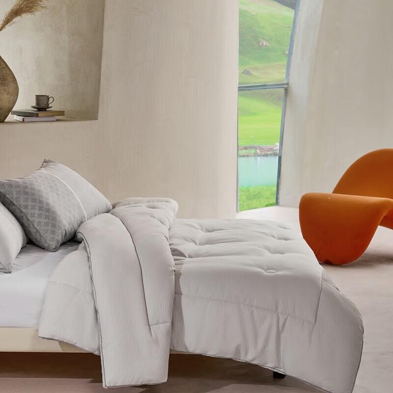 

Mercury Chic Star Jacquard All-Season Duvet Insert