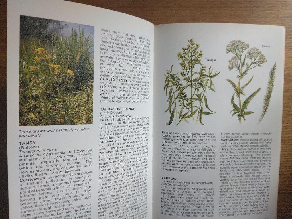 [USED] Defective Plant Encyclopedia Herbs Foreign Books HERBS Botanical Art