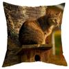 Office Living Room Home Pillowcase Cute Little Lazy Cat Pattern Pillowcase Car Ornaments