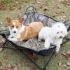 Portable Elevated Pet Bed Dogs - Washable Breathable Waterproof Outdoor Camping Cot Adjustable Height All