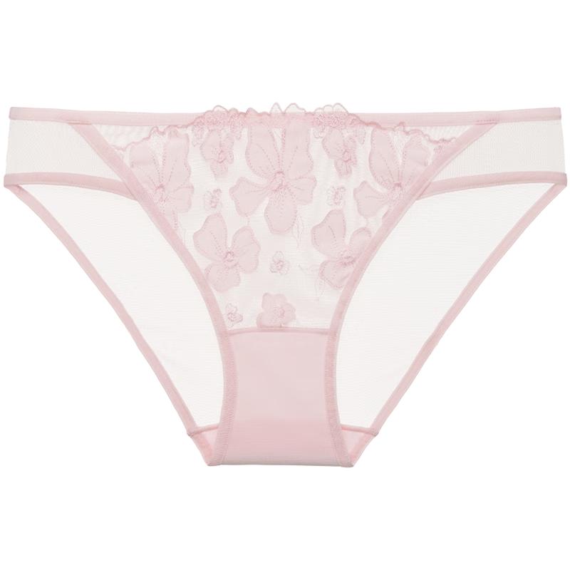 Victoria's Secret Sheer Mesh Floral Embroidered Bikini Briefs