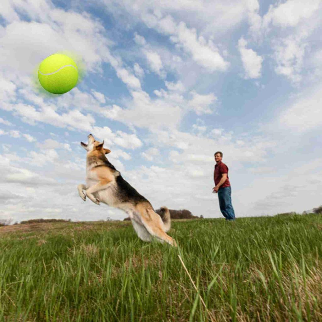 9.5‘um Oversize Tennis s Inflatable Tennis with Pump Dog Toy s For Signature Children Adult Pets Dogs Cats Fun