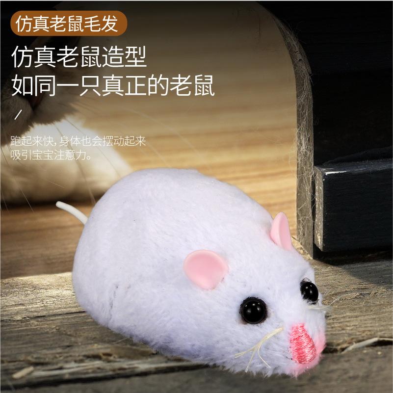Fensterbox Mini Vierwege-Fernbedienung Maus Simulation Tier Infrarot Elektrische Fernbedienung Insektenmodell Spielzeug
