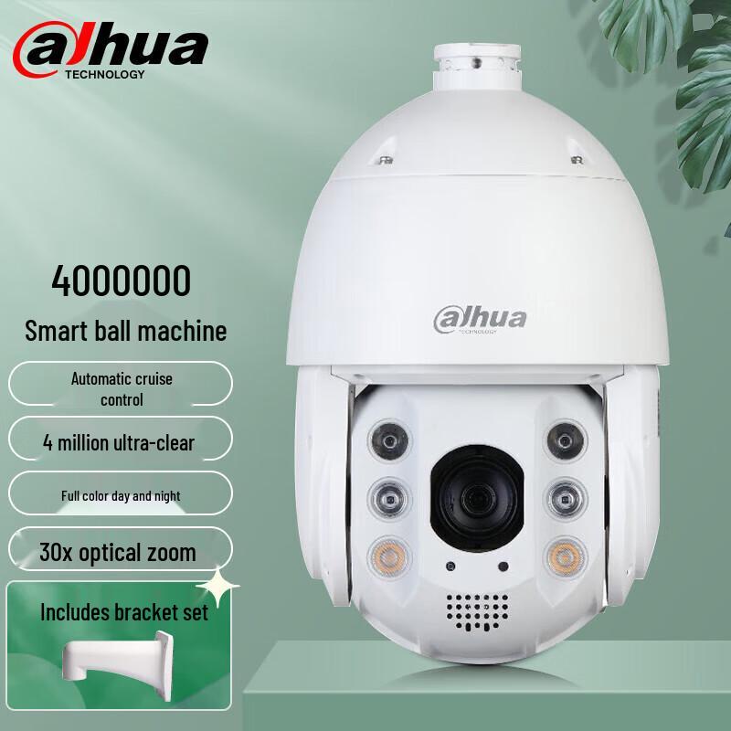Dahua 4MP 4G Solar PTZ Outdoor Security Camera Kit