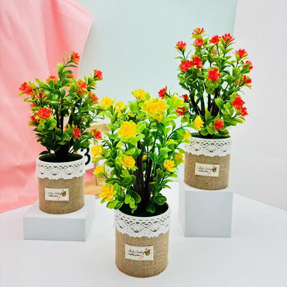 Camellia Sasanqua Floral Pot Potted Plant For Wedding Table And Green Space