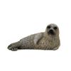 Collcta Harbor Seal