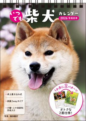 2026 Shiba Inu Calendar B6 Shoten [S3] (Desktop Calendar, Size, Portrait) (Nagaoka Calendar)