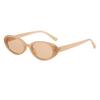 Small Oval Women's Sunglasses New Fashion  Sun Glasses Female Retro Colorful Shade Eyeglasses UV400