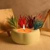 Handmade Succulent Planter Mold Cat Claw Molds Silicone Mould for Plant Lovers