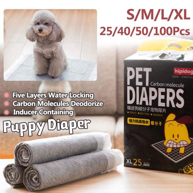 dog floor diaper