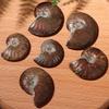 Sammlerstücke Kristall-Exemplar Fossil Natürlich schillernder Ammonit Madagaskar-Stein Ammolit Facettiert