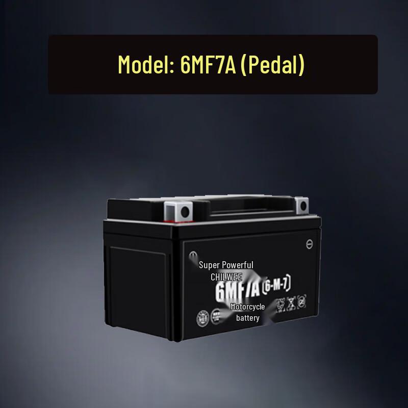 Chaowei 6MF7A 12V 7Ah Lead-Acid Power Battery