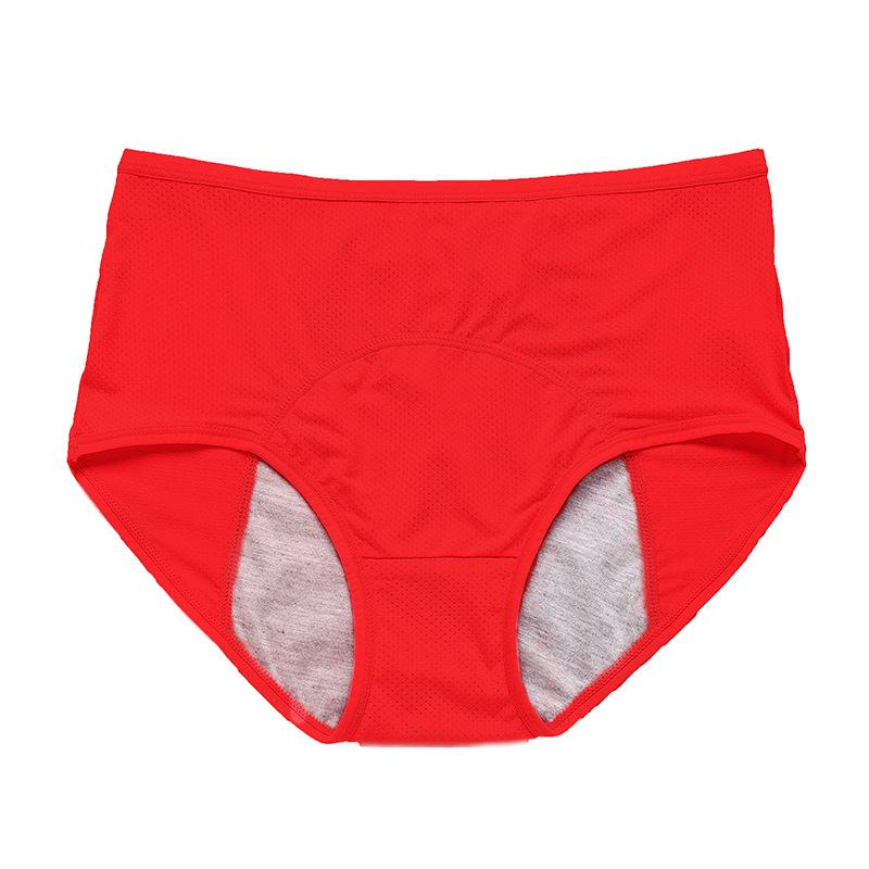 2026 Innovative Leak-Proof Menstrual Underwear for Women