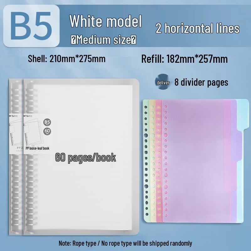 M&G B5 Softcover Loose-Leaf Notebook - 2-Pack