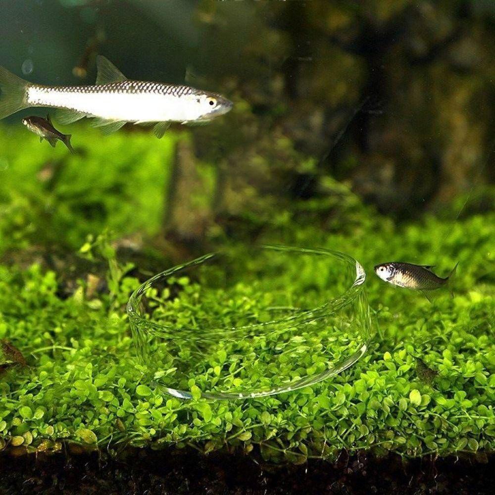 Akrylowy podajnik do akwarium z przyssawką Przezroczysta miska do karmienia z powietrza Uniwersalne naczynie do karmienia ryb i krewetek