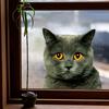 Cute Cartoon Animal Peeking Window Stickers, Creative Glass Window Decor for Festival  Home, Adorable Animal Clings