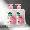 Moisturizing Antiseptic Hand Wash Twin Pack