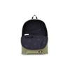 Dickies Polyester Backpack Regular Unisex Army Green 173U90LBB14GR01