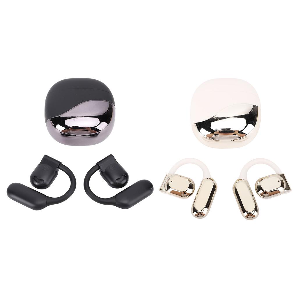 Translation Earbuds Earhook Active Noise Reduction Wireless Bluetooth AI Language Translator Earbuds