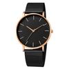 Geneva Ultra-Thin Men's Minimalist Mesh Band Watch