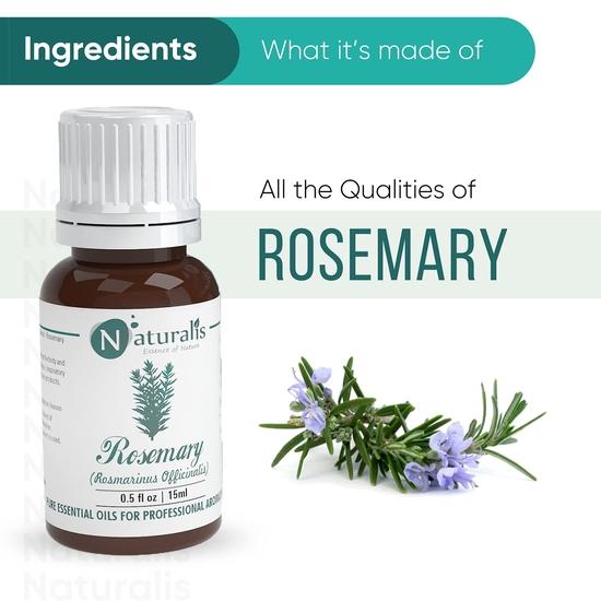 Naturalis Rosemary Hair Oil - Pure Rosemary Essential Oil & Joint Relief, Anti-Dandruff, Natural Hair Conditioner- 15ml