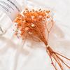 DIY Small Natural Photo Backdrop Pressed Gypsophila Babysbreath Bouquet Dry Flower Dried Flowers
