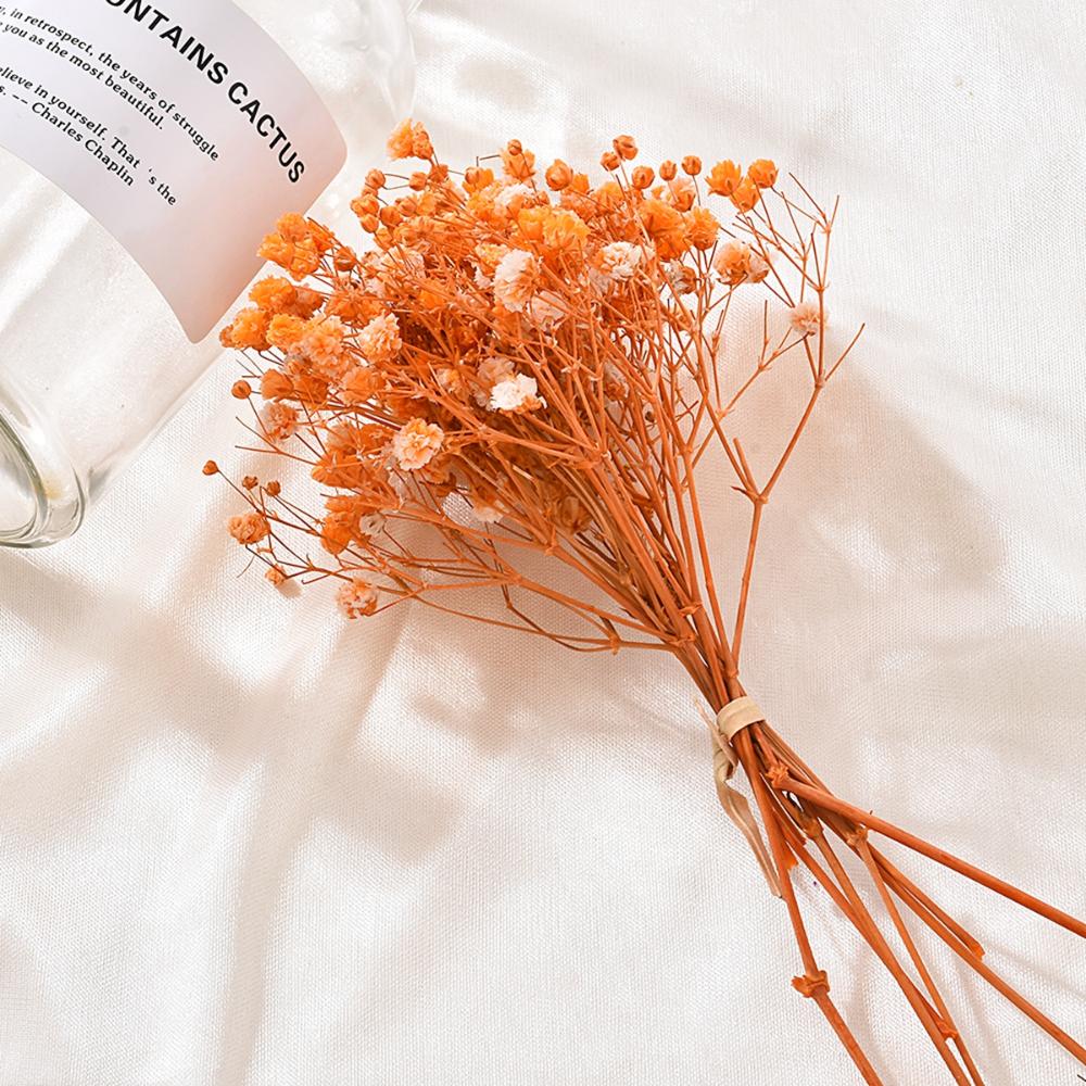 DIY Small Natural Photo Backdrop Pressed Gypsophila Babysbreath Bouquet Dry Flower Dried Flowers
