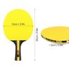 Double Sided Table Tennis Set Colorful Table Tennis Racket Ping Pong Rackets  Casual Training