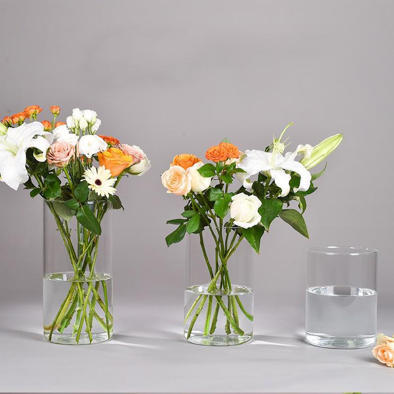Light Luxury Vase Ins Style Cylinder Vase Transparent Flower Vase Living Room Decoration Vase Household Hydroponic Plants Cup