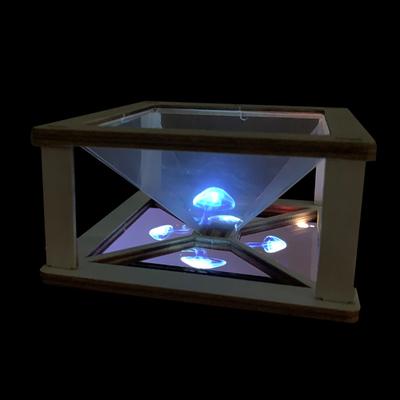 3D-Projektionsanimations-Requisiten Wissenschaftsspielzeug für Kinder STEAM-Lernspielzeug für Kinder Lustige Technologie-Lern-Lehrhilfen