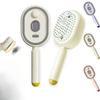 Electric Spray Air Cushions Massage Comb 3 In 1 Self Cleaning Steam Essential Oil Brush Rechargeable Spray Scalp Massager Combs