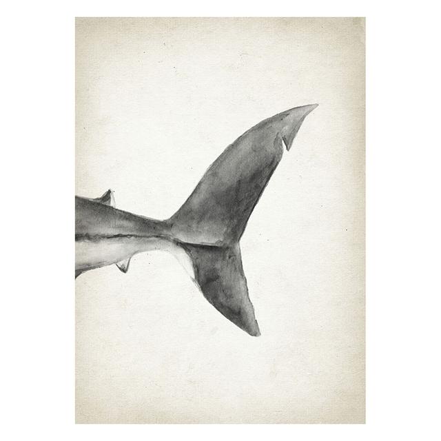Marine Animals Canvas Paintings Great White Shark Posters and Prints Killer Whale Wall Art Picture for Home Decoration No Frame