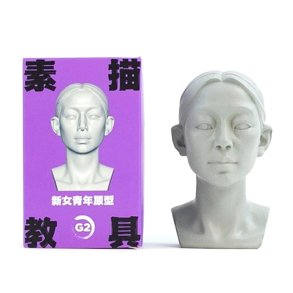 Still Life Ornament Planar Head Model Resin Skecthing Painting Sculpture  for Art Beginner
