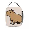 Izolované tašky na oběd Capybara, vodotěsné piknikové tašky, termální chladicí krabička na oběd, taška na oběd pro ženy, do práce, děti, do školy