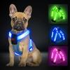 PZRLit Dog Harness for Small and Cats Reflective for Nighttime and Outings Popular Blue Pet Harness Light-Up Dogs, Puppies, - Rechargeable, Band,